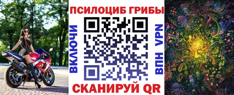 где купить наркоту  Покров  Псилоцибиновые грибы Cubensis 